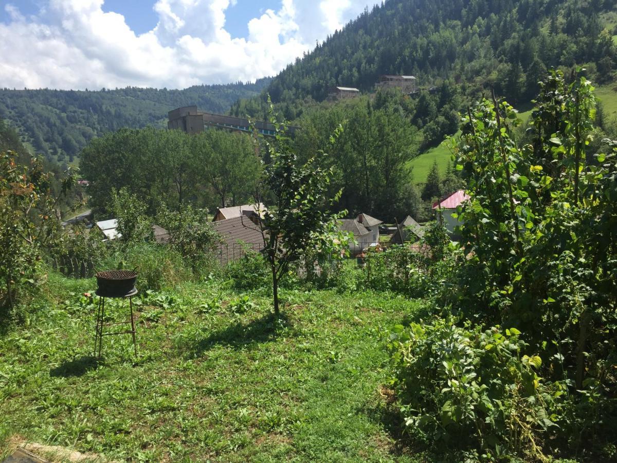 Acasa In Bicaz-Chei - Camere De Inchiriat Cheile Bicazului Εξωτερικό φωτογραφία