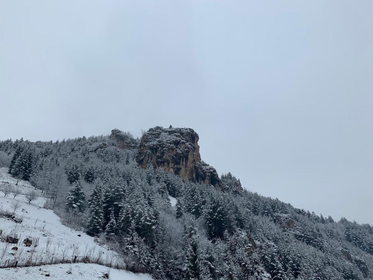 Acasa In Bicaz-Chei - Camere De Inchiriat Cheile Bicazului Εξωτερικό φωτογραφία